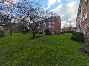 Photo 9- click for photo gallery